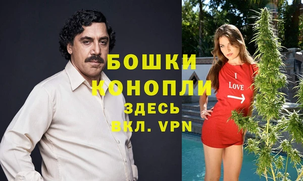 MDMA Premium VHQ Горнозаводск